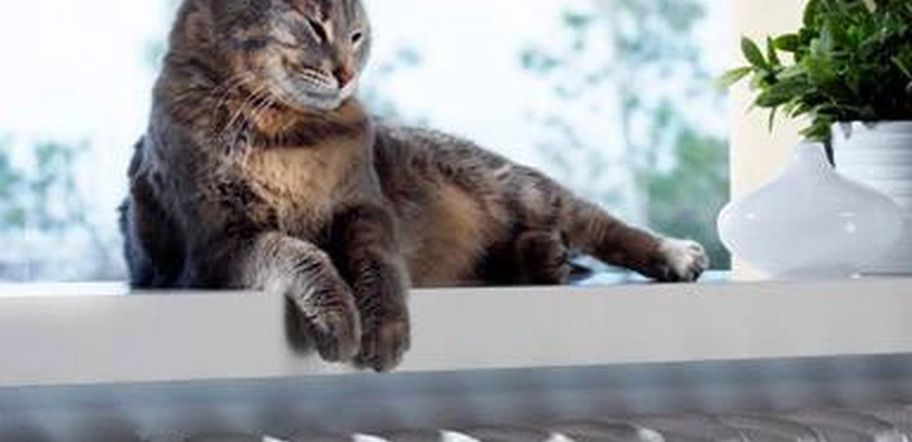 Systeme de chauffage compatible avec plancher chauffant