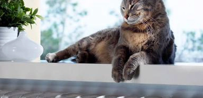 Pose plancher chauffant hydraulique Saint Germain du Puch G M Climatisation